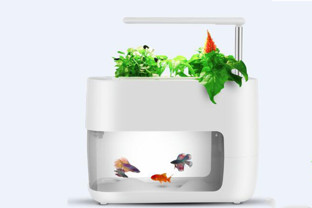 物联网微生态循坏系统